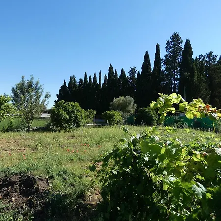 Mis Tres Rosas Holiday home